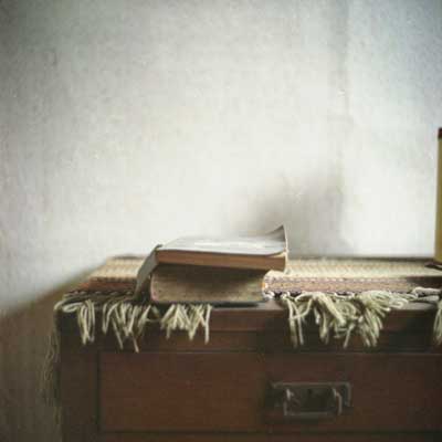 ineke kamps - not so mint